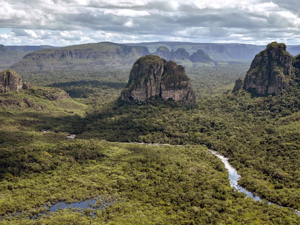 Article featured image