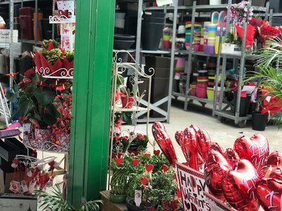 Article featured image