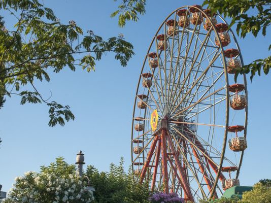 Article featured image