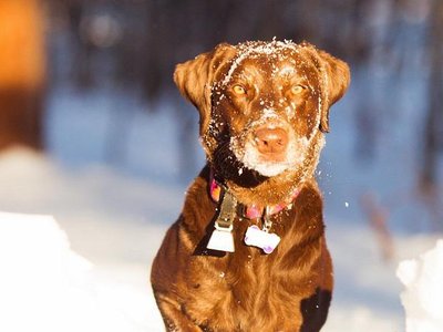 Article featured image