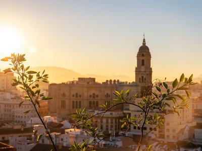 Article featured image