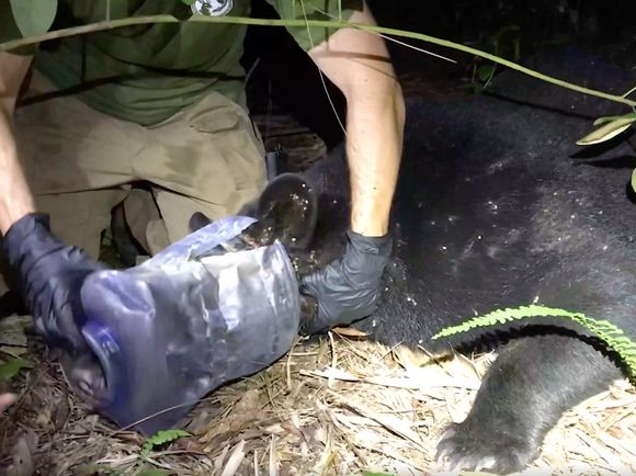 Article featured image