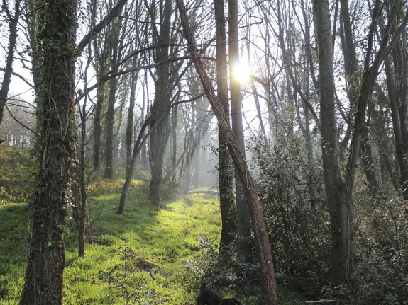 Article featured image