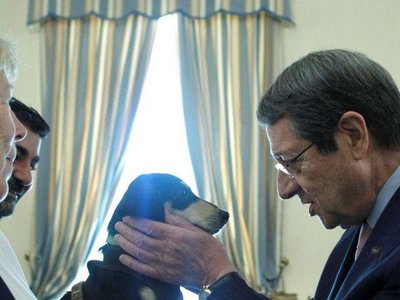 Article featured image