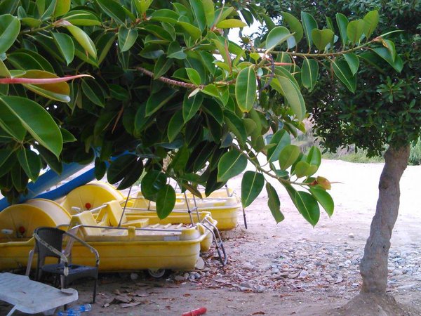 Article featured image