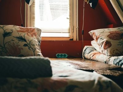 Article featured image