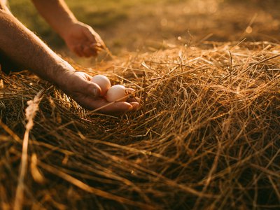 Article featured image