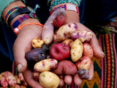 Article featured image