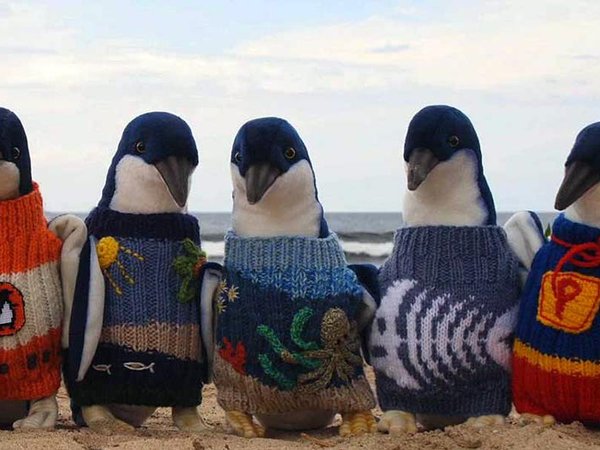 Article featured image