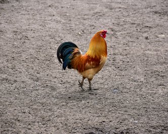 Article featured image