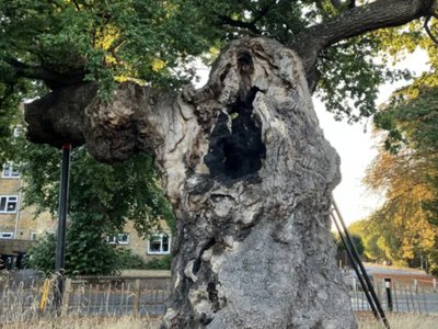 Article featured image