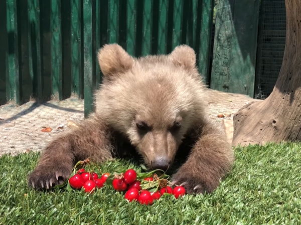 Article featured image