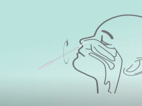 Article featured image