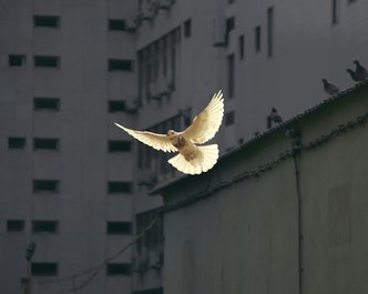 Article featured image