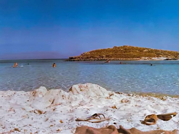 Article featured image