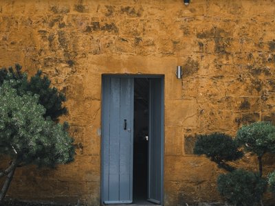 Article featured image