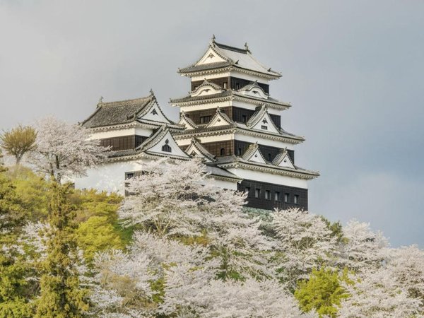 Article featured image