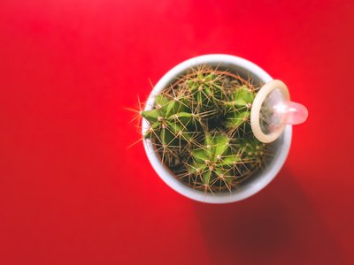 Article featured image