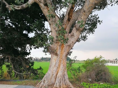 Article featured image