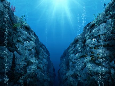 Article featured image