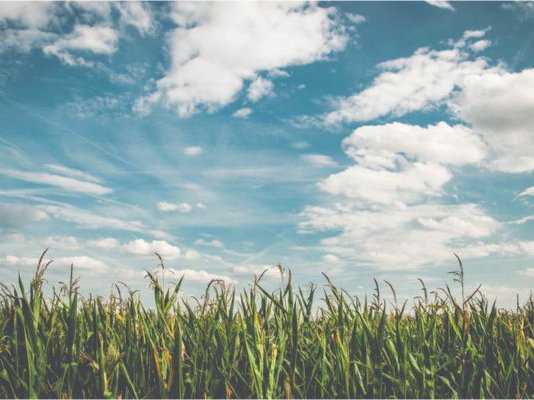 Article featured image