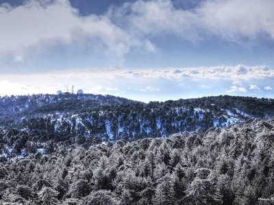 Article featured image