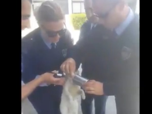 Article featured image