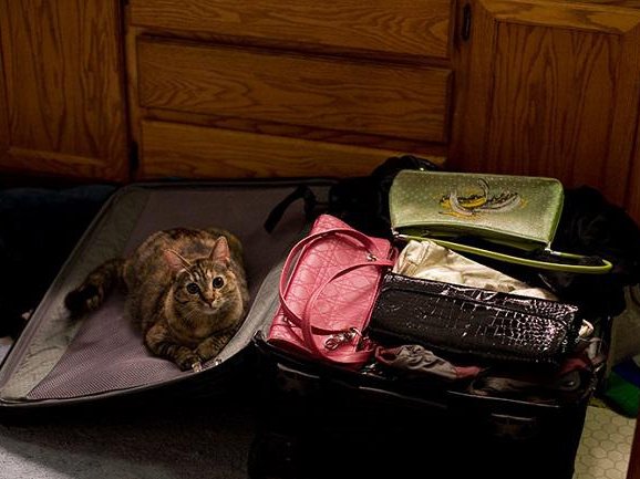 Article featured image