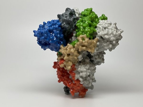 Article featured image