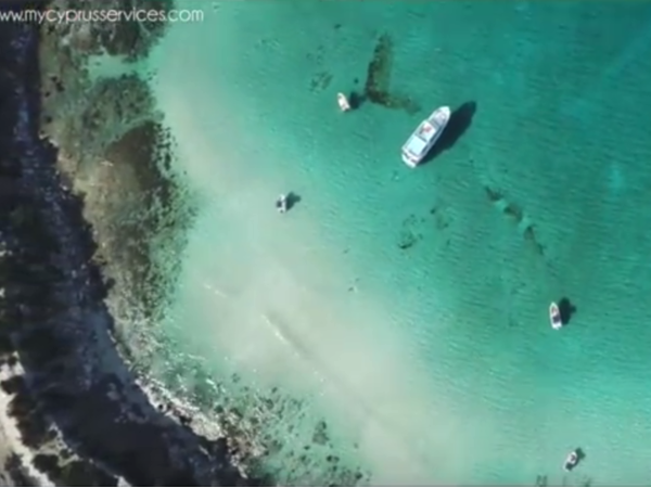 Article featured image