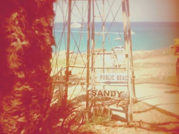 Article featured image