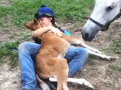 Article featured image