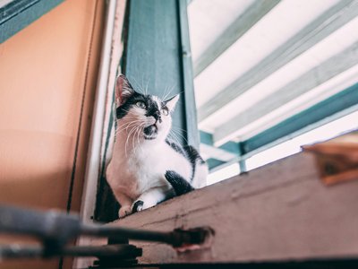 Article featured image