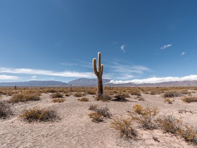 Article featured image