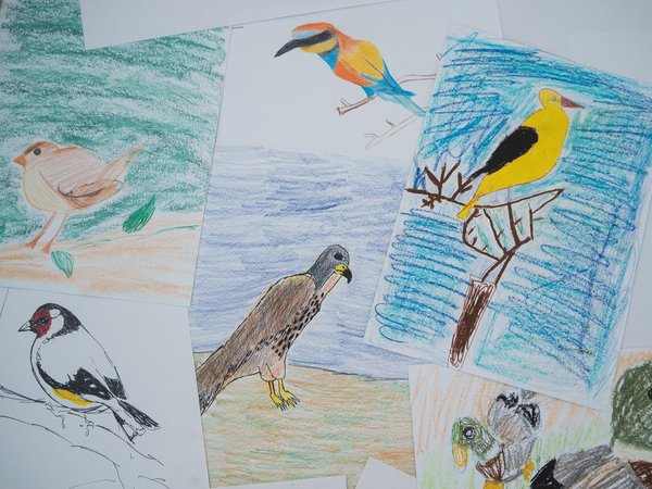 Article featured image