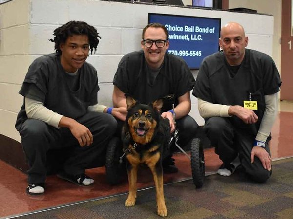 Article featured image