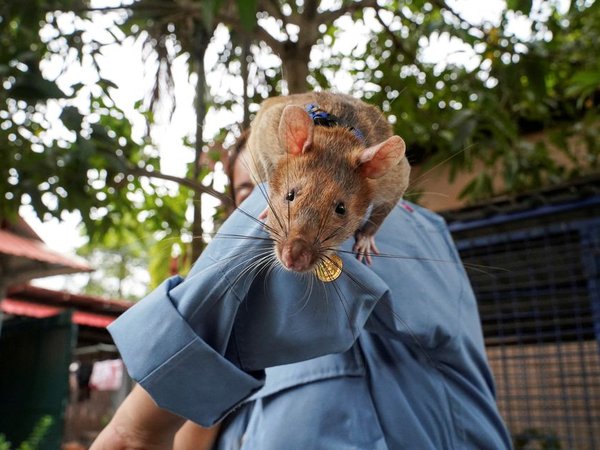 Article featured image