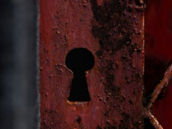 Article featured image