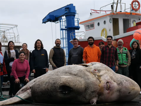 Article featured image