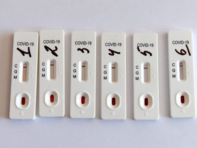 Article featured image