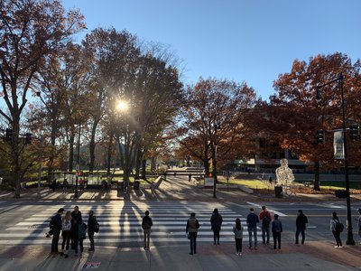 Article featured image