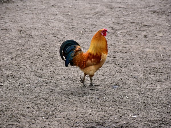 Article featured image