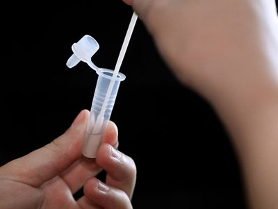 Article featured image
