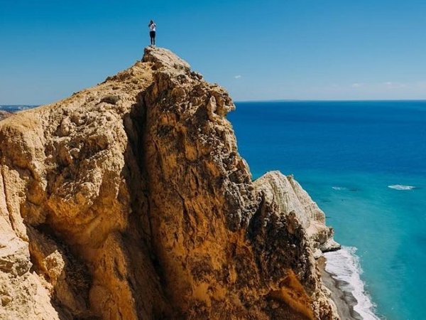 Article featured image