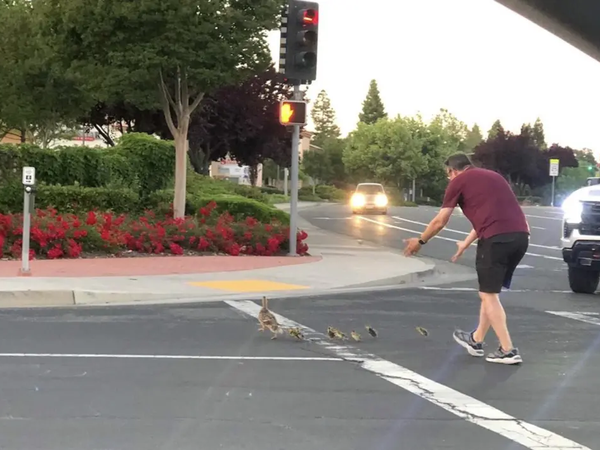 Article featured image