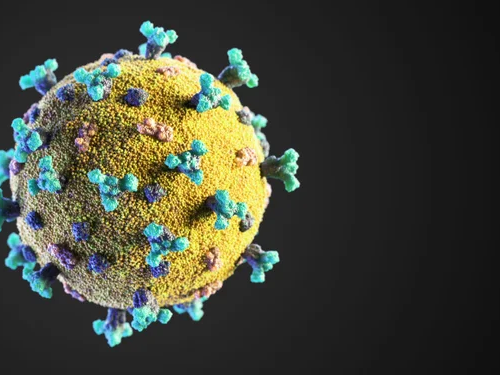 Article featured image