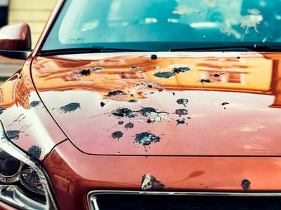 Article featured image