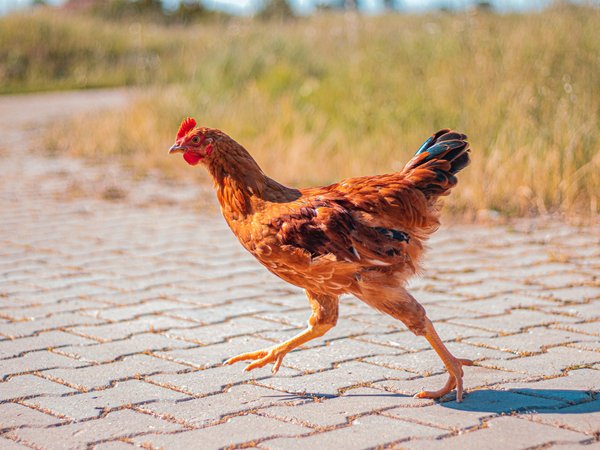 Article featured image