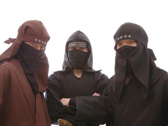 Article featured image