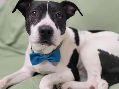 Article featured image